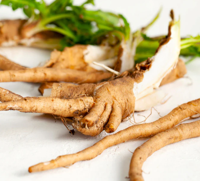 Chicory Root Inulin – SlimTide ingredient