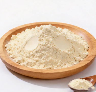 Probiotic Blend – SlimTide ingredient